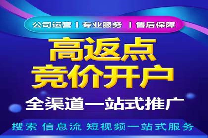 成功案例解析：SEM竞价员策略